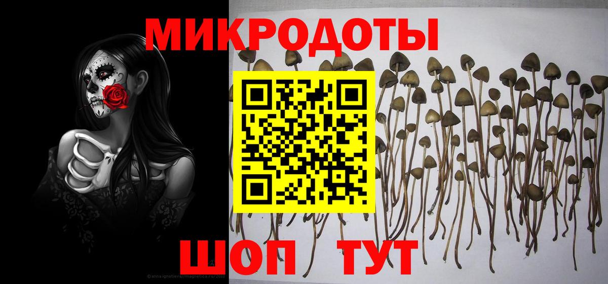 Галлюциногенные грибы MAGIC MUSHROOMS Севастополь